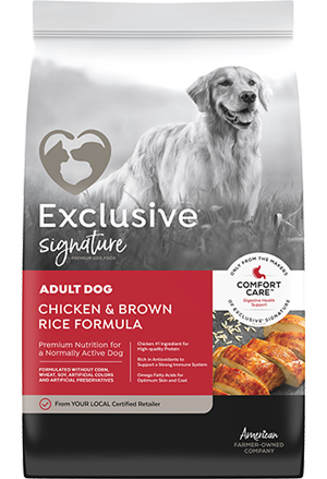 Exclusive Signature Adult Chicken Rice Dry Dog Food