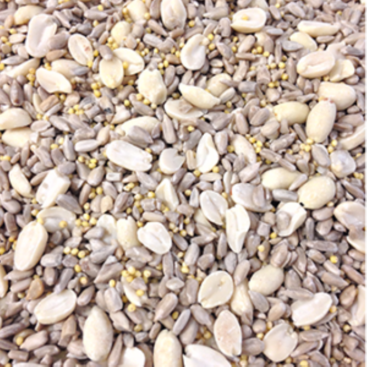 Sommer No Mess Mix Bird Seed 5 lbs