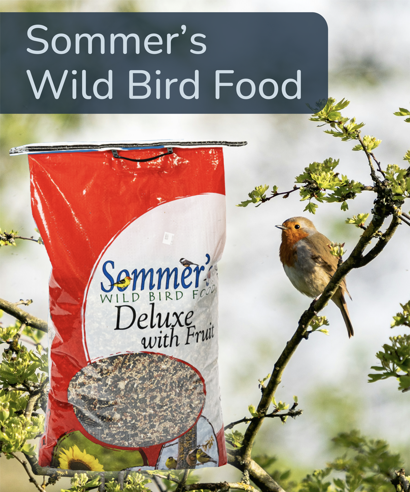 Sommer's Wild Bird Food package with a bird perched nearby on a branch