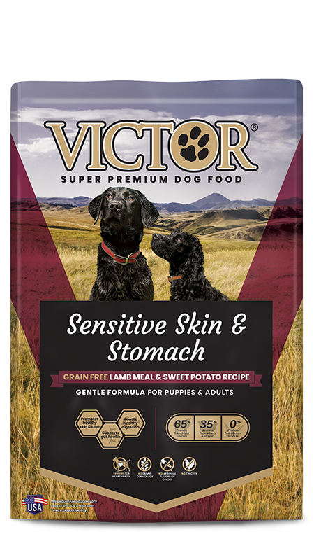 Victor Grain Free Sensitive Skin & Stomach Dry Dog Food: 30 lbs