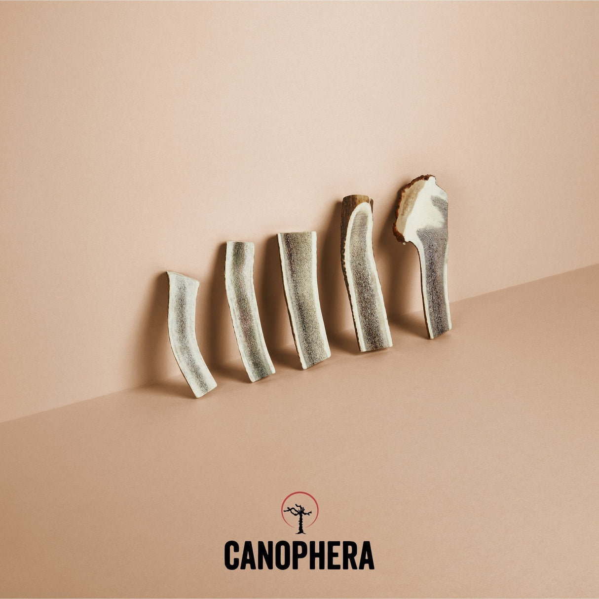 Canophera Deer Antler Dog Chew: Large
