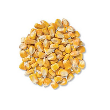 Sommer Recleaned Shelled Corn: 25 lbs