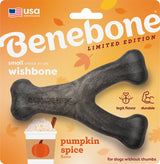 Benebone Holiday Wishbone for Dogs - Pumpkin Spice