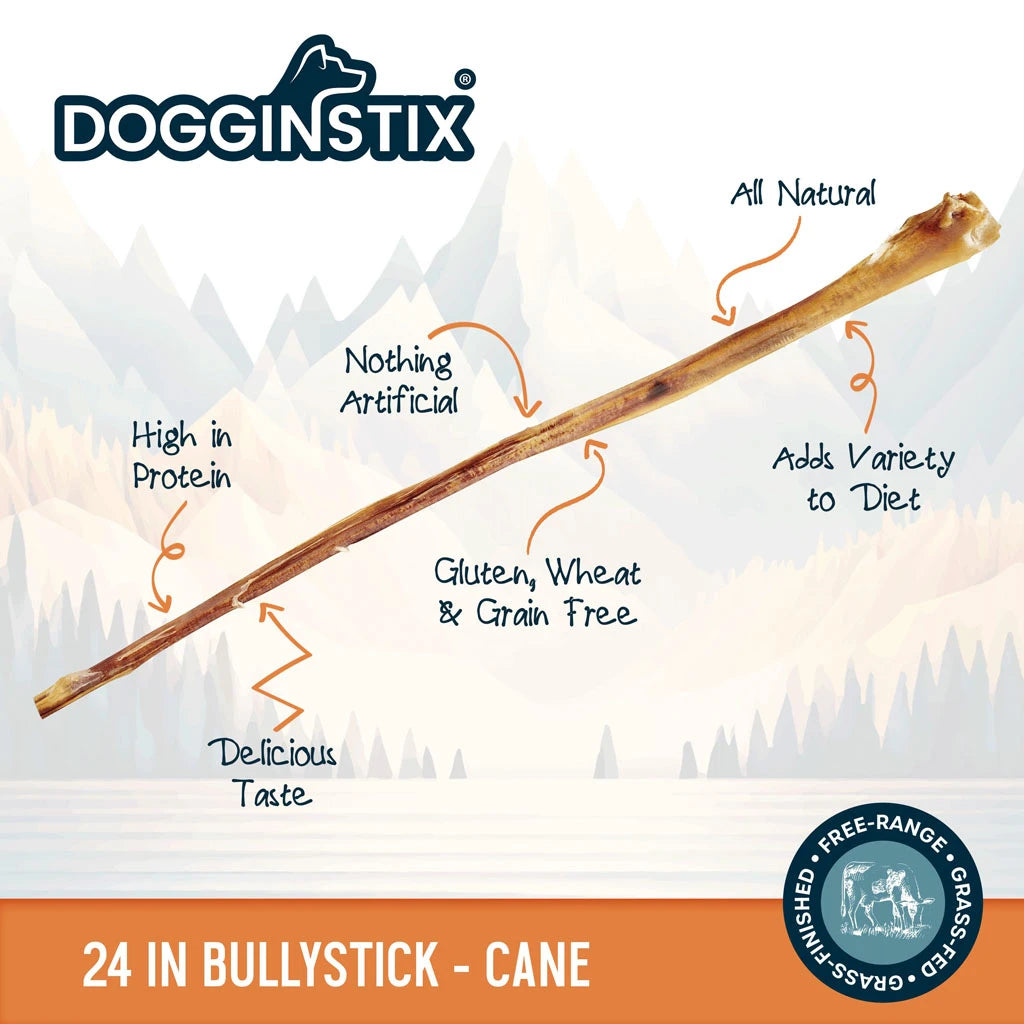 DogginStix Bully Sticks Cane Dog Treat - 24 in