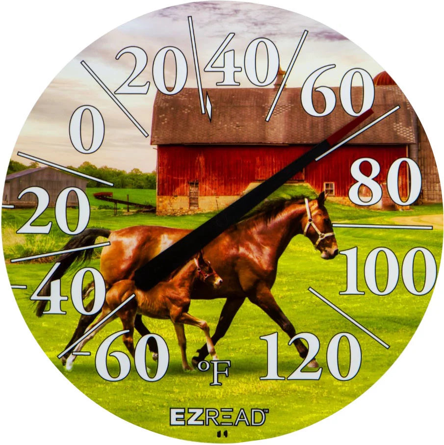 EZRead Indoor/Outdoor Dial Thermometer Horse/Foal