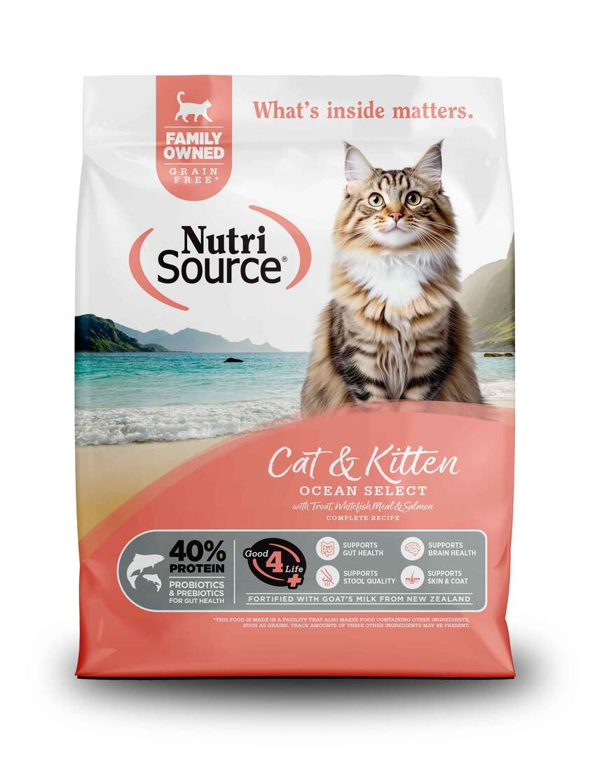 NutriSource Ocean Select Trout Whitefish Salmon Grain Free Dry Cat Food: 4 lbs