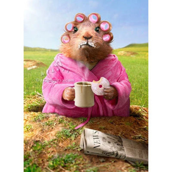 Morning Groundhog-206024