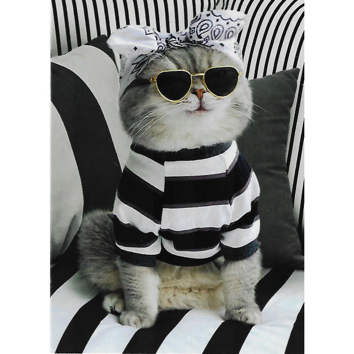 Avanti Bandana Cat Birthday-206321