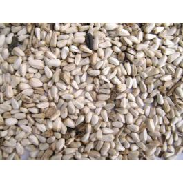 Sommer Seed Safflower: 25 lbs