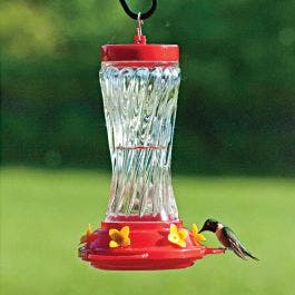 Swirl Glass Hummingbird Feeder: 16 oz