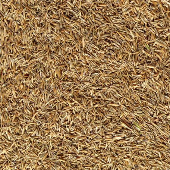 Proscape Landscaper Grass Seed 25 lb.