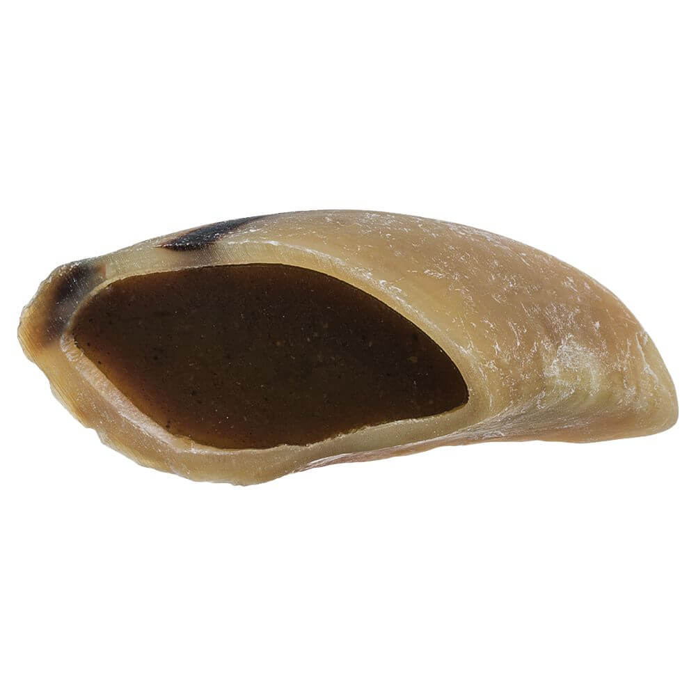 Red Barn Hooves Beef