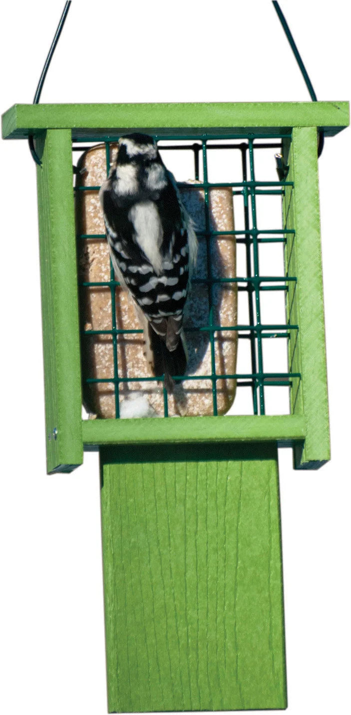 Audubon Going Green Tail-Prop Suet Feeder