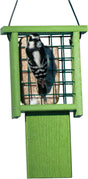 Audubon Going Green Tail-Prop Suet Feeder