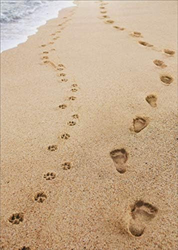 Human & Dog Footprints Sympathy-206203 psy : os
