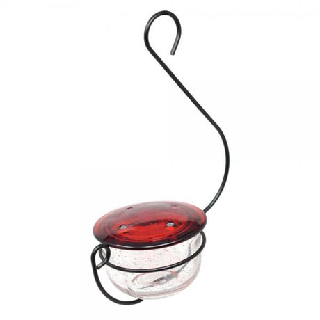 Backyard Essentials Clear Glass Hanging Hummingbird Feeder
