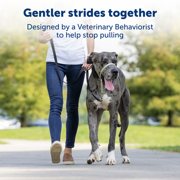 PetSafe Gentle Leader No-Pull Dog Headcollar Charcoal: Large