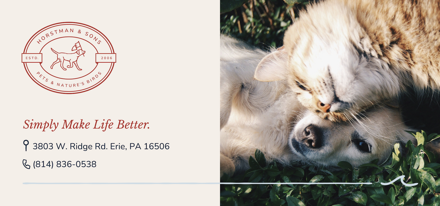 Dog lying on grass with Horstman and Sons logo and contact information on the left side.