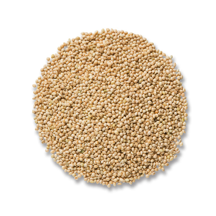 Sommer Seed White Millet Bird Seed: 5 lbs