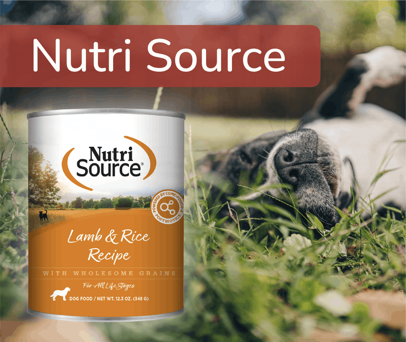Can of Nutri Source Lamb & Rice Recipe dog food with a dog lying in grass in the background