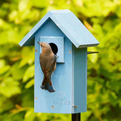Nature's Way EcoCycle Bluebird Bungalow Birdhouse: Blue