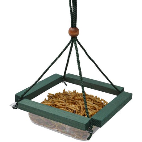 Songbird Essentials Hanging Mealworm Dish Bird Feeder