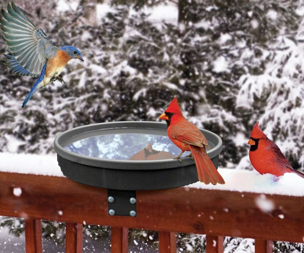 Songbird Essentials Songbird Spa Heated Bird Bath