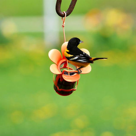 Songbird Essentials Jelly and Jam Feeder