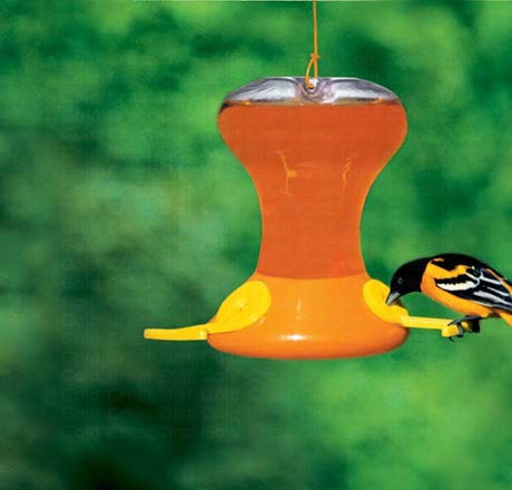 Songbird Essentials Fliteline Oriole Nectar Feeder