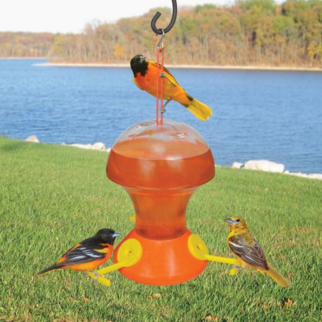 Songbird Essentials Fliteline Oriole Nectar Feeder: 52 oz