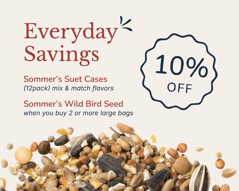 Advertisement for Sommer's Suet Cases and Wild Bird Seed with a 10% off offer on a beige background.
