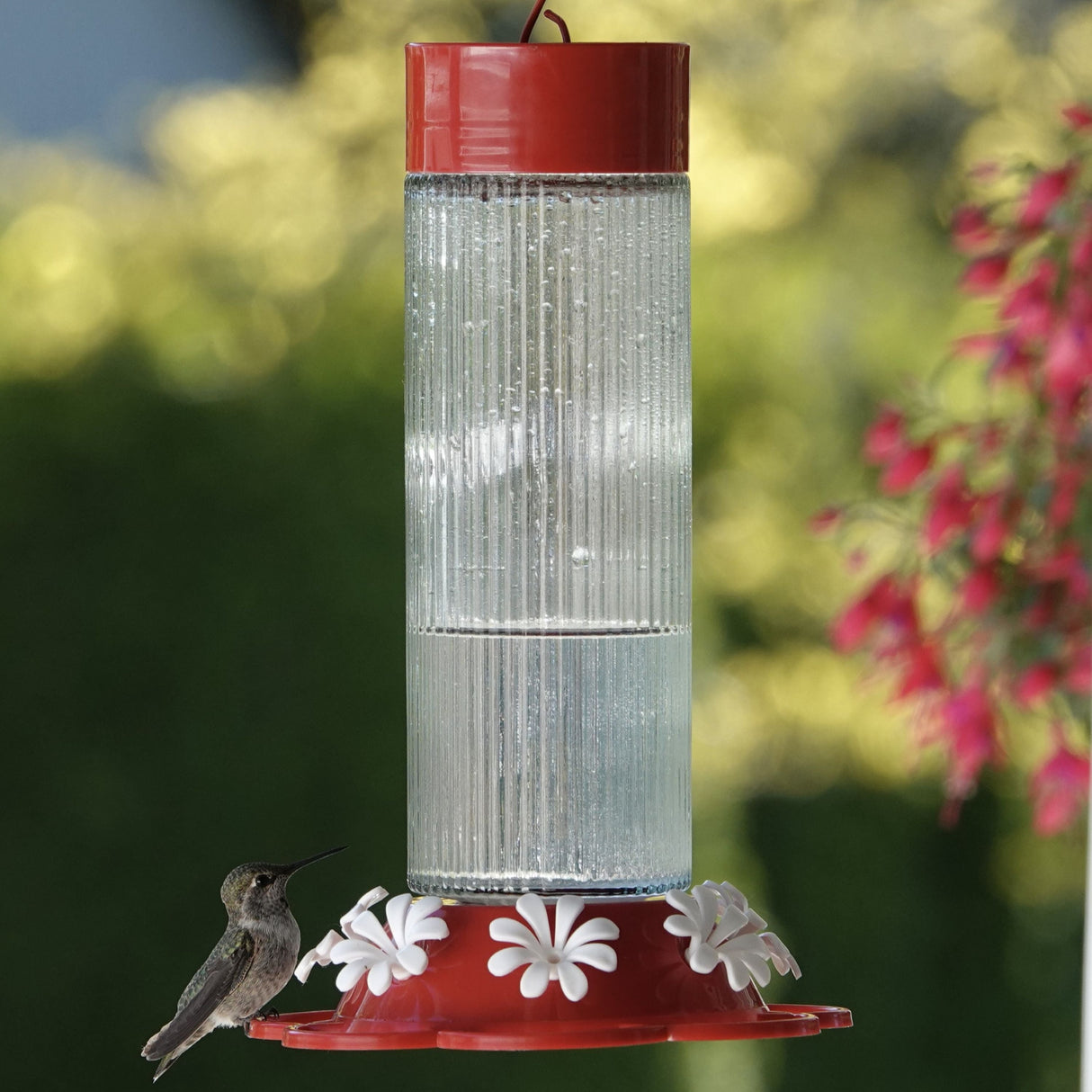 Ribbed rose glass hummingbird feeder