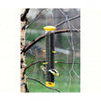 Woodlink Tails Up Finch Feeder