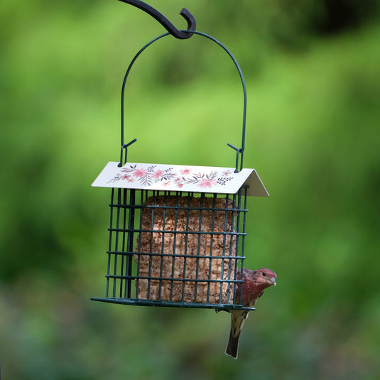 Nature's Way Decorative Metal Suet Bird Feeder with Roof