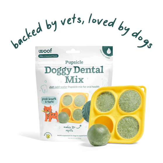 Woof Dog Pupsicle Dental Refill Mix: 5.5oz