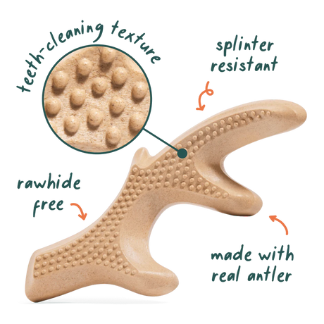 Woof Dog HonestChew Antler Alternative Dog Chew