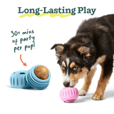 Woof Dog Pupsicle Refill Pops
