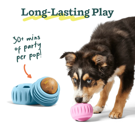 Woof Dog Pupsicle Refill Pops