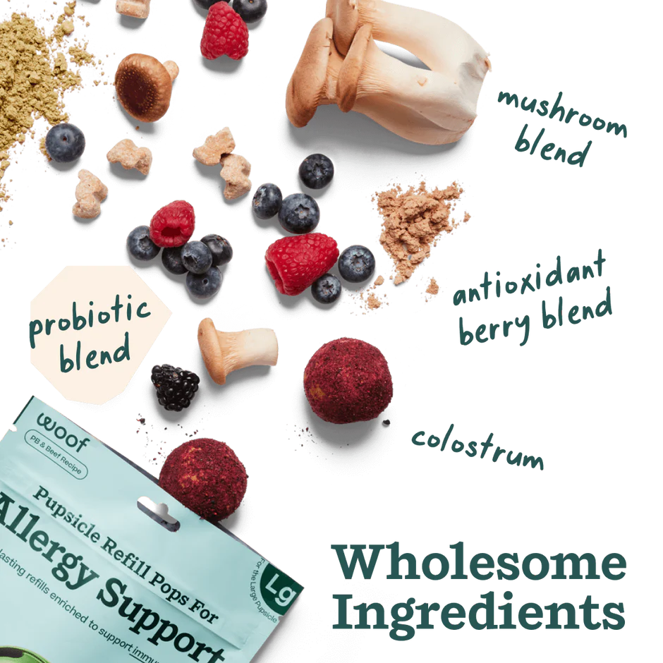 Woof Dog Pupsicle Refill Pops