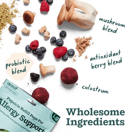 Woof Dog Pupsicle Refill Pops