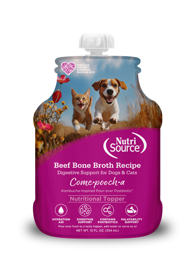 NutriSource Come-Pooch-a Beef Broth Recipe