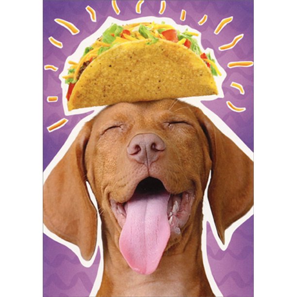 Avanti Greeting Card AF Venting-202422AF