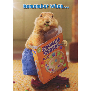 Groundhog cereal bday card