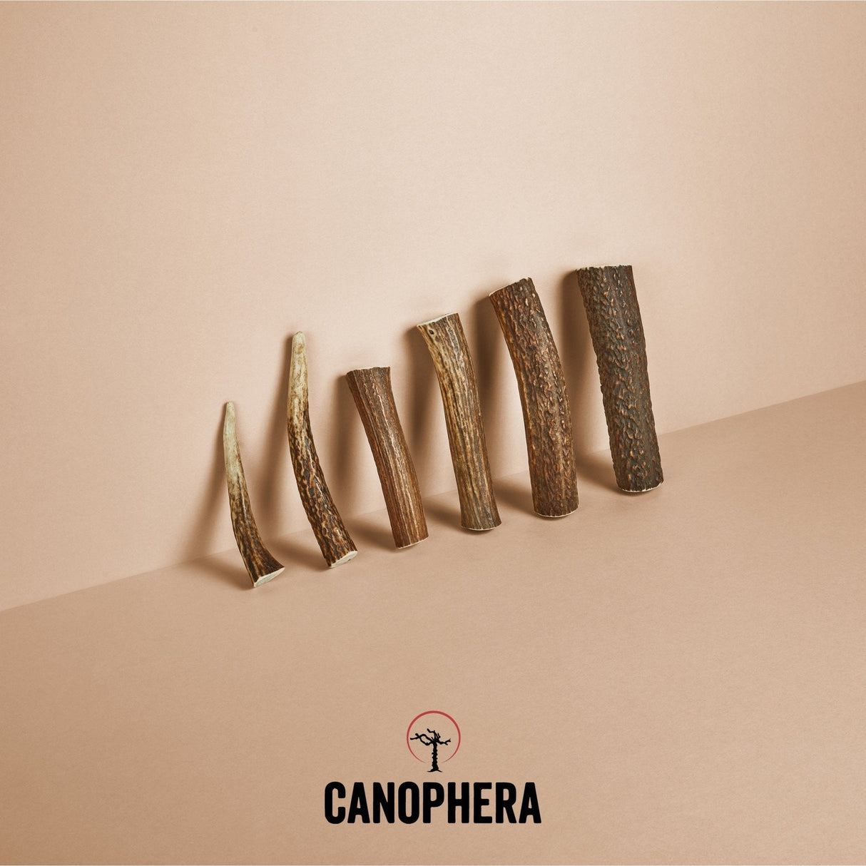 Canophera Deer Antler Dog Chew: XL