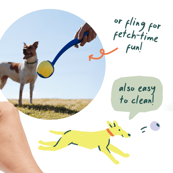 Woof Dog Forager Flyball Yellow